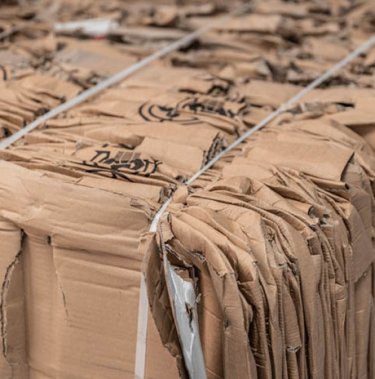 Kunt u geld verdienen met karton